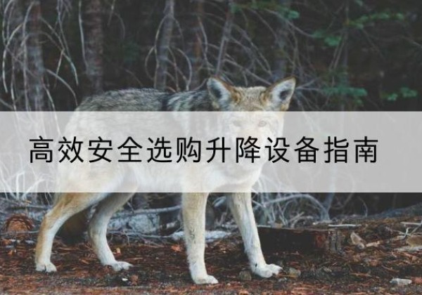 三台升降货梯厂家推荐-*安全选购升降设备指南