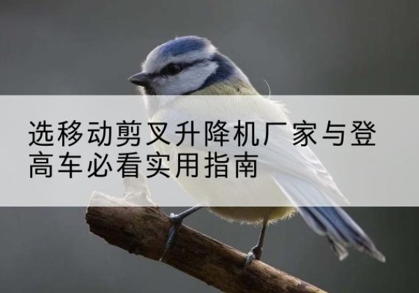三台电动升降机厂家-选移动剪叉升降机厂家与登高车必看实用指南